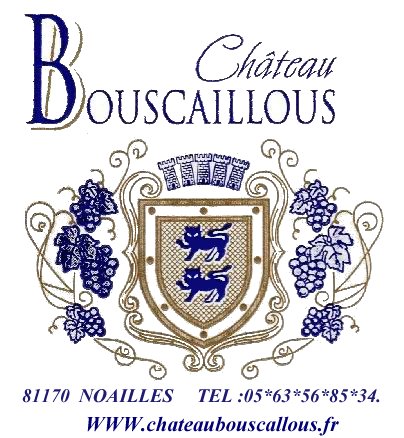 logo bouscaillous fini picassa
